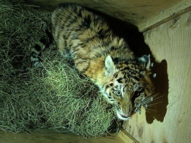 ��������-������ ������ � ����������� ����