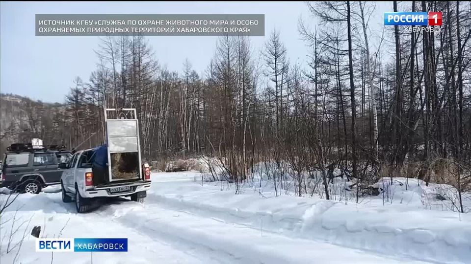 ��������� �������, ������� ������ ������� ������ ����� ������ ����� ����, ��������� �� �������