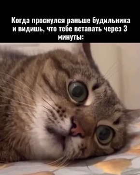 �� ����� ��� ������ ����������� �� �����, � ��������, ���� ��� ���� ������������