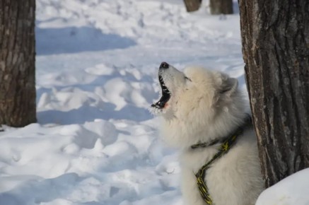 ��������� ������� ������� ��� ����������� ��������� �������� ������