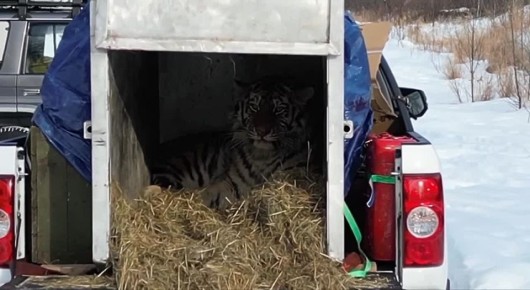 ����������� � ����� ������� ��� ������� � ����� �������