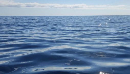 ����������� ������������ ����������� �� ��������� ���� �������� ������� ����