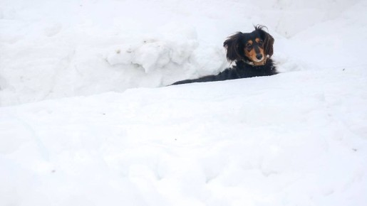 ������������� ������ �������� ������������ � ������ ��������