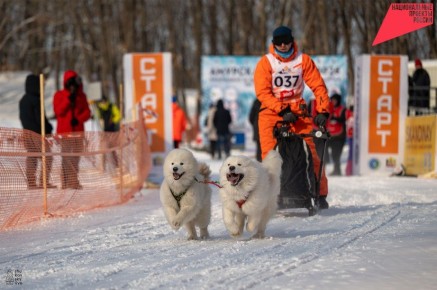 ������ ���������� � ����� �� �������� �������� ��������� ������ 2026�