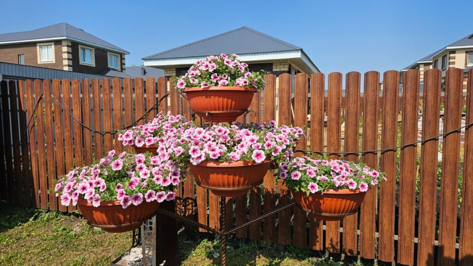 ������������ ������ ������� ���� �� ������ ���� � ������ �� �������� ������ ���