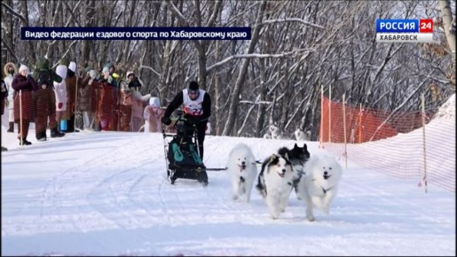 ��������� ������� ������� � ��������� ���������� ����� 50 ����������, ����� ������� � �� 2 ����!