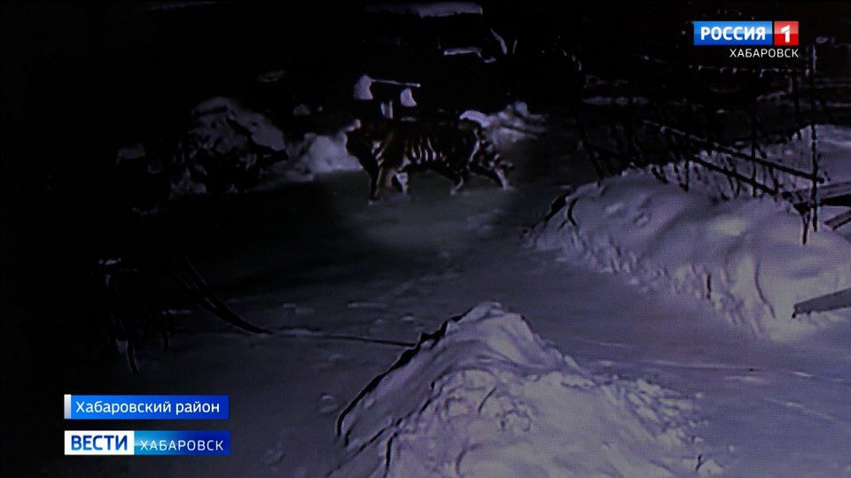 ���� ����������, ������ ������� �� ��������: ���� ����� �� ������ ���������� � ���� ��� �����������