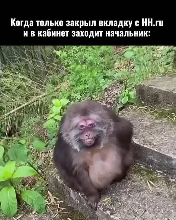 Такое невозможно придумать, только прожить!