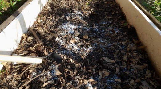 ����� � �������: ������� ���������� � ��������