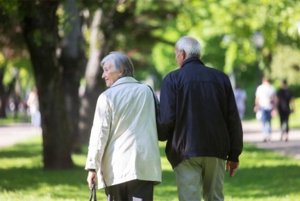 ����������� �����������: ������ ������� �� 70 �� 80 ��� ������� ������� ��������