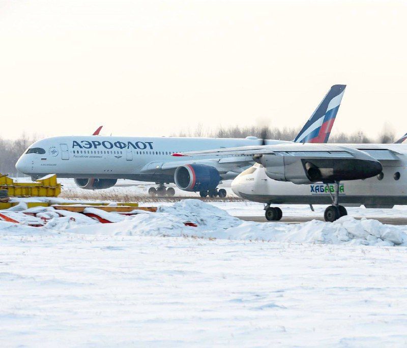 �� ������ ������ ������ � � 3 �� 9 ������� � ������ �������� ������� ������ ����� 103 ����� ������-������ �� ��������������� ����������