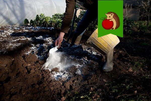 ��� ������� ��������� ������������ ��� ������ ����