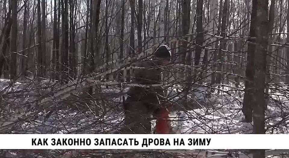 В Хабаровском крае сокращается количество незаконных рубок лесного фонда