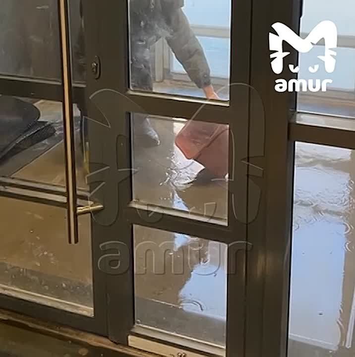 Многострадальный ЖК, который тонул 10 дней назад, снова заливает в Хабаровске