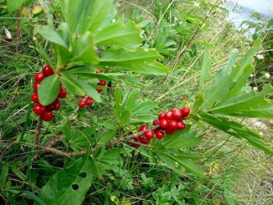 ������� ������ ������ ����: ��������, � ������� ����� �����