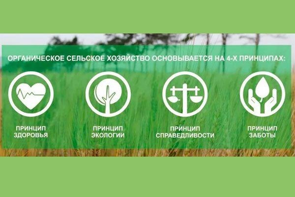 ������������ �����������: ��� ��������� ��������� ������