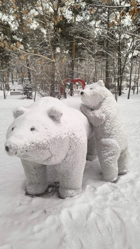 ������ � ����������� ���� ���������