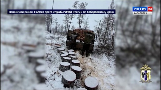 ������ ���� ���� �������� ���� �� ��������� ����, ����� �������� 600 ����� ������