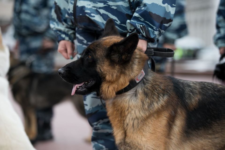 ���������� ����� ��������� ���������� � ����������