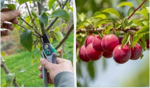 ��� ��������� �������� ����� ������ ��� �������� ������