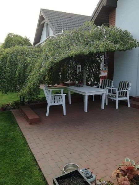 Очарование природы и человеческого творчества