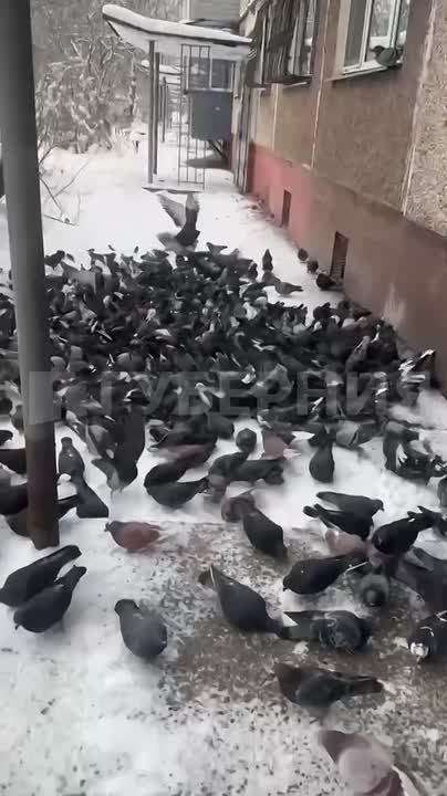 ����� ������ �� ������������ ������� �� ����� ����������� �� ����� ��������� ������� ������ ����� �� ����� ����� ������������ �������, ������� ���� �� ���� � ���� ������. ������� ������� �������� ����� � ��������� �� �����...