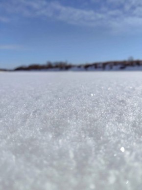 ������ � ����������� ���� ���������