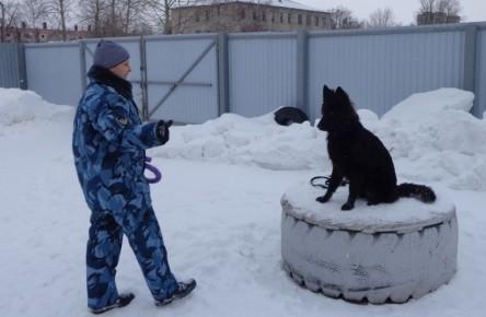 ����������� ����� ����������� ����� ������ �� �������