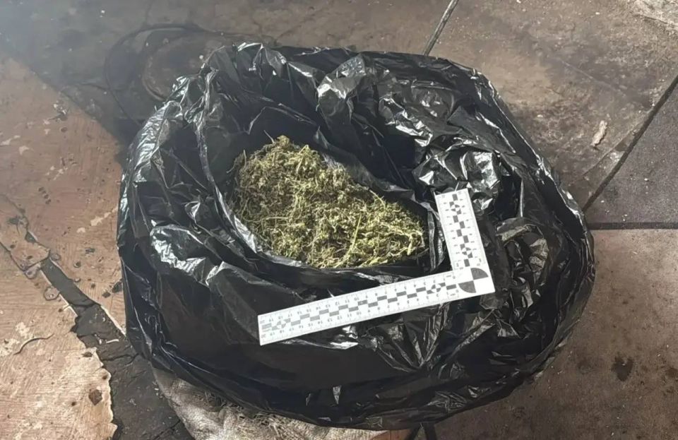 В Хабаровском районе полицейские задержали подозреваемого в незаконном хранении наркотиков