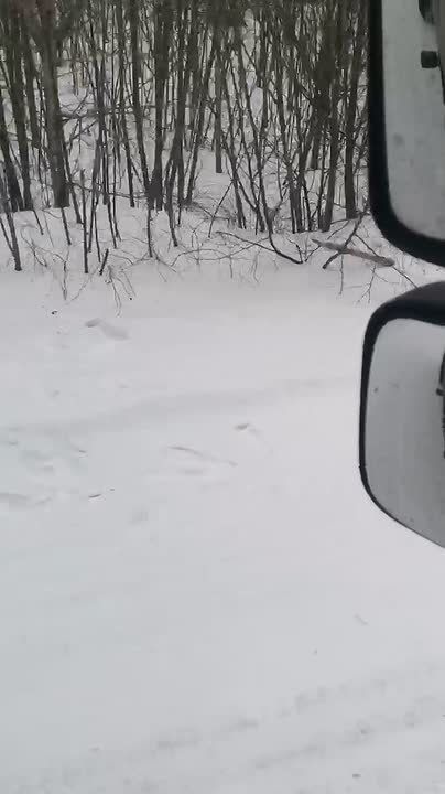 Свалку отходов обнаружили около поселка Октябрьского