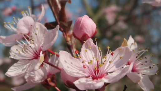 �������: �������� ������ � ������� ������ ����