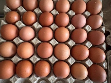 ����� ������������ ����� ������� �� ������ ����� ���� ������� ������������