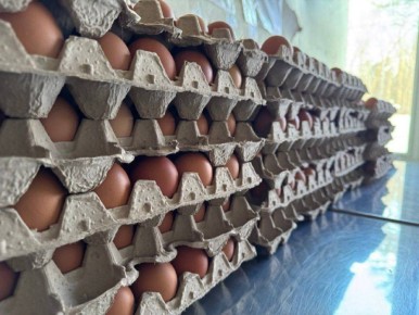 ������� ��������� ���������� � ������ ����� ���� ������� ��������� ������ ������������