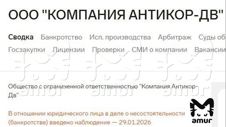 �����, ��-�� ������� ������� ������ ����������� ����� � ����������, ������ �� �����������