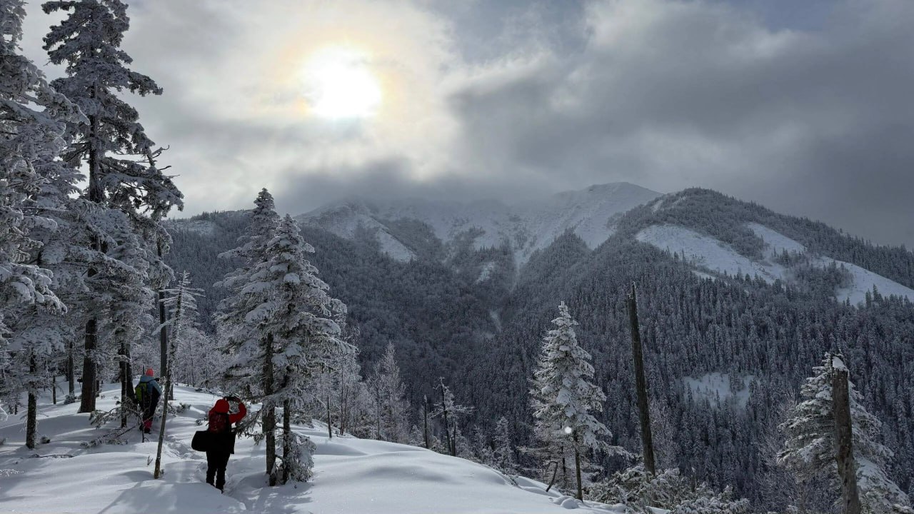 Погода в Хабаровском крае Хабаровск