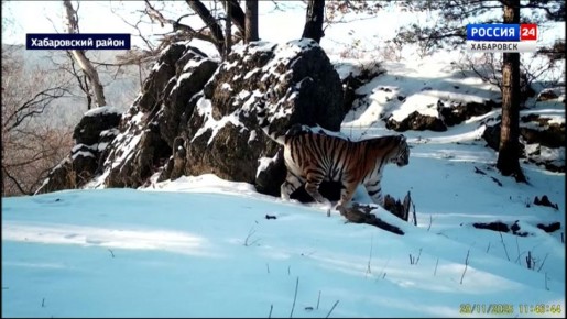 ��� ���� ��������: �������� ������ � ���� ����������� � ������������ ������������ ����