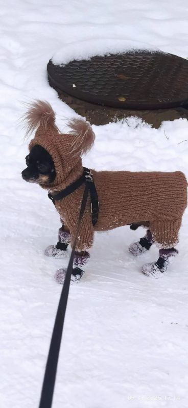 ������ � ����������� ���� ���������