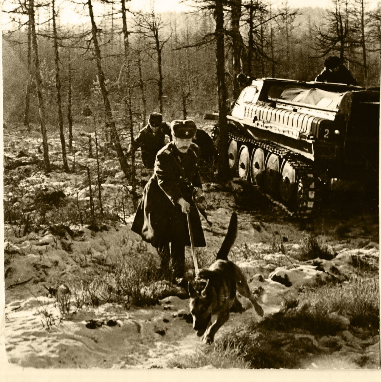 Дальневосточные транспортные полицейские — надежный щит на железнодорожных, воздушных и водных путях Дальневосточные транспортные полицейские — надежный щит на железнодорожных, воздушных и водных путях