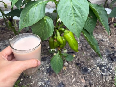 ������ ���� ����� �� ������? ������� ������ �� ������ ����!