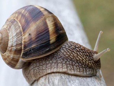 ��� �������� ������ ������� ��� ���: ����������� ���� �������