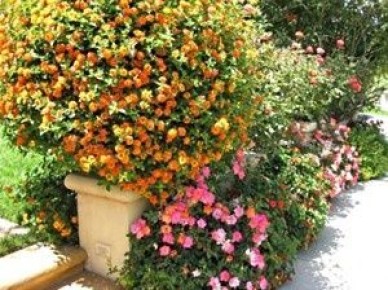 ��� �������������� ���� ���������� ��� ��� � ���: 5 ��������� �� ������ � �����