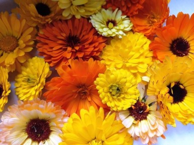 ���������: �������� ������ ��� �������� ��� ����?