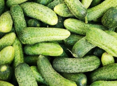 ФАС проанализирует цены на огурцы в торговых сетях