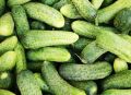 ФАС проанализирует цены на огурцы в торговых сетях