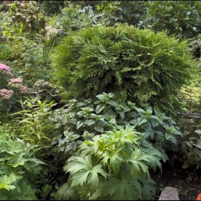 ��� ��������� �������� ����: ������ ��� ���������� �����������