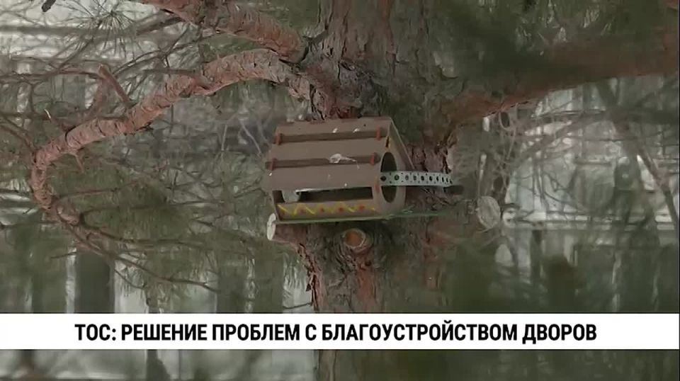 ����������� ���������� ��������������� ���� ����� ��������� ��������������� ������������ ���������������