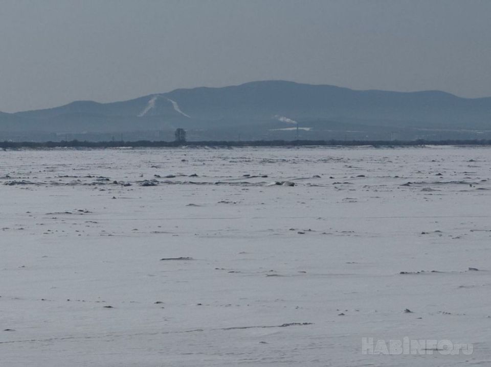 � ����������� ���� ������� ����� ��������� ���������