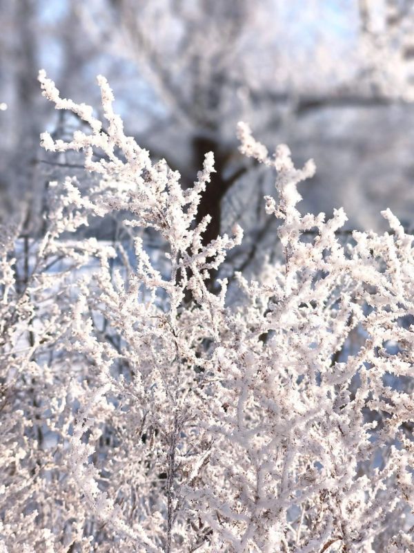 ������ � ����������� ���� ���������