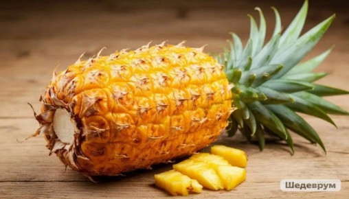 Необычно много ананасов собрали в Ботаническом саду Амурска