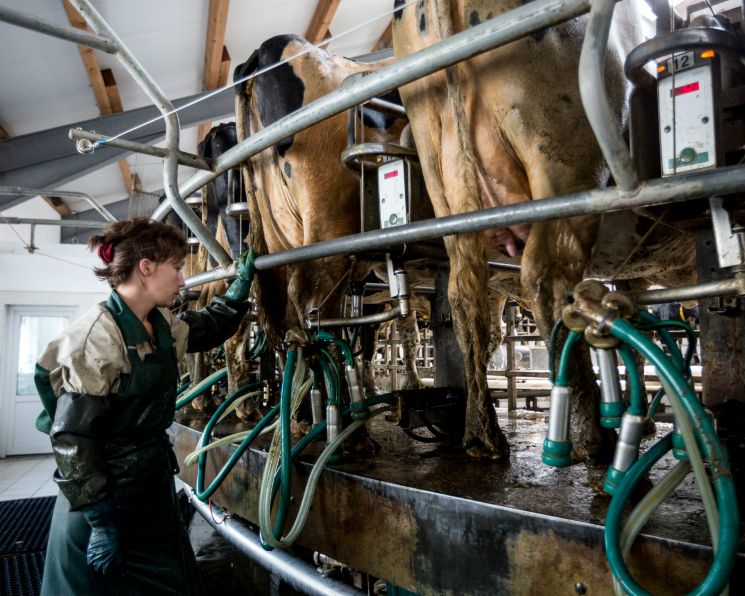 ��� �������������� ������������ ������� ������������ �������� �������?